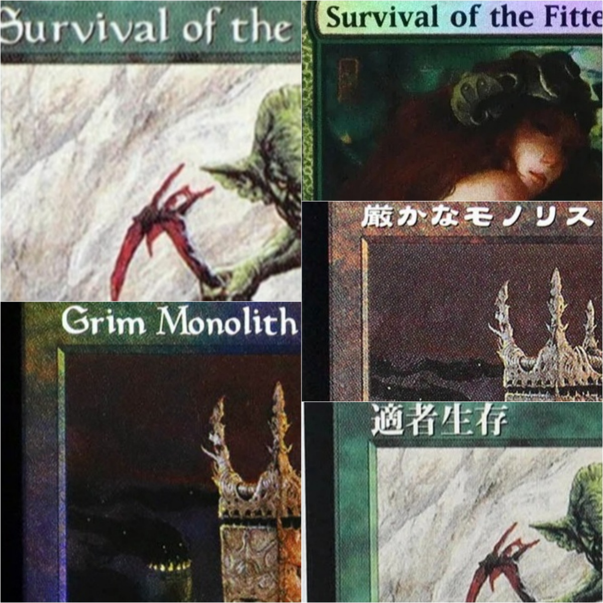 Board Game Survive The Island - 